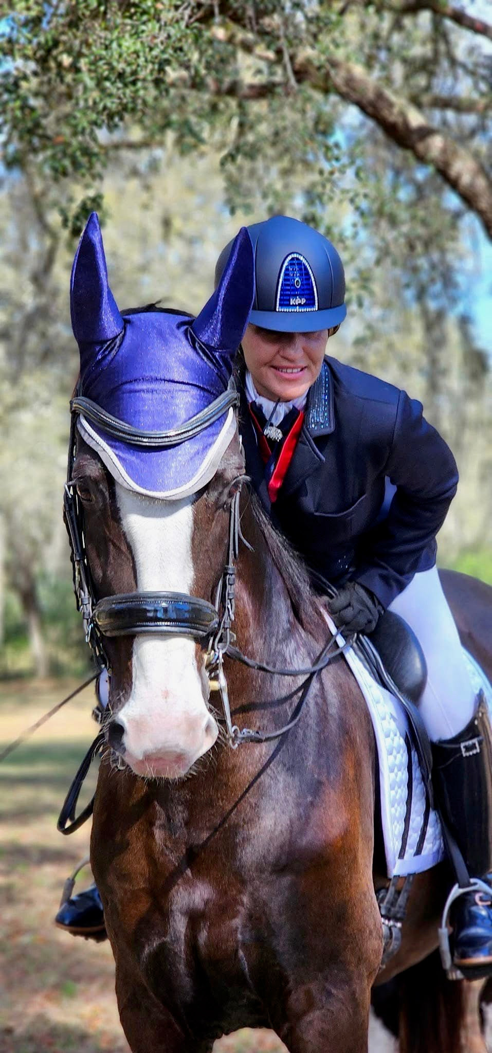 Boots — the horse that started The Botanical Horse