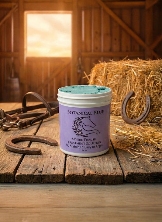 Botanical Blue Clay hoof packing for thrush and white line disease — natural horse hoof care
