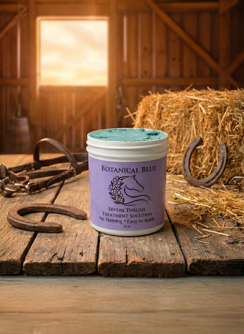 Botanical Blue Clay hoof packing for thrush and white line disease — natural horse hoof care