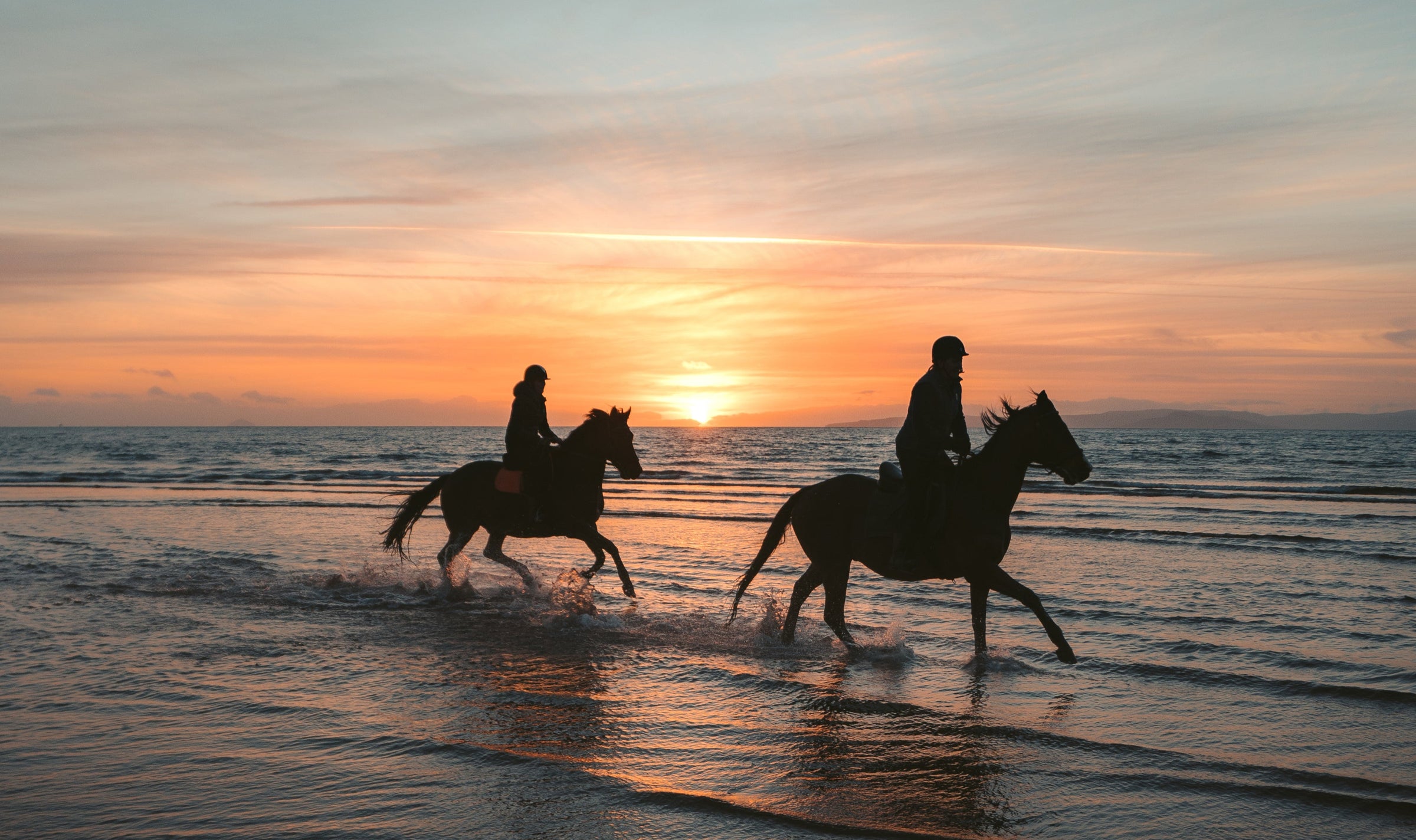 The Botanical Horse and Human LLC